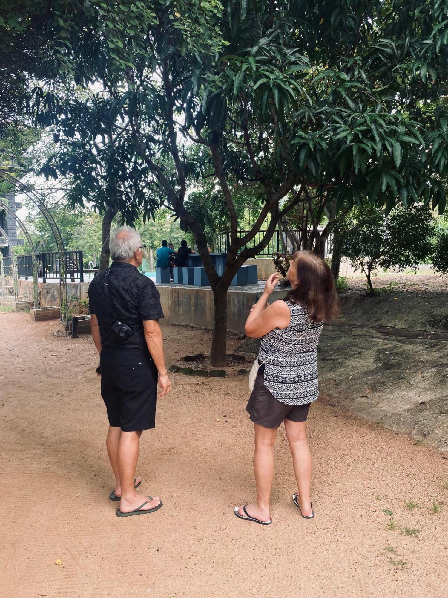 Sigiriya Kingdom Resort Dambulla Luaran gambar